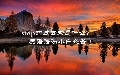 stop的过去式是什么？（英语语法小白必备）