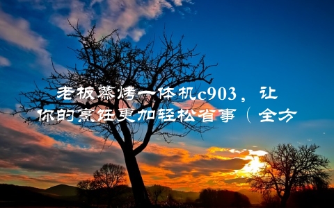 老板蒸烤一体机c903，让你的烹饪更加轻松省事（全方位讲解）