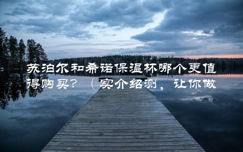 苏泊尔和希诺保温杯哪个更值得购买？（实介绍测，让你做出明智选择）