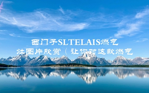 西门子SLTELAIS燃气灶图片欣赏（让你对这款燃气灶一目了然）