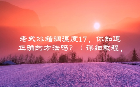 老式冰箱调温度17，你知道正确的方法吗？（详细教程，轻松掌握）