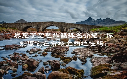 奥克斯空气炸锅排名介绍，你知道它在市场上的地位吗？