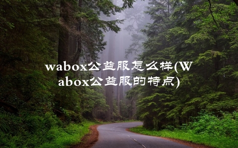 wabox公益服怎么样(Wabox公益服的特点)