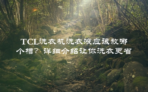 TCL洗衣机洗衣液应该放哪个槽？详细介绍让你洗衣更省心