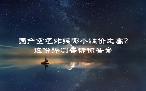 国产空气炸锅哪个性价比高？这份评测告诉你答案