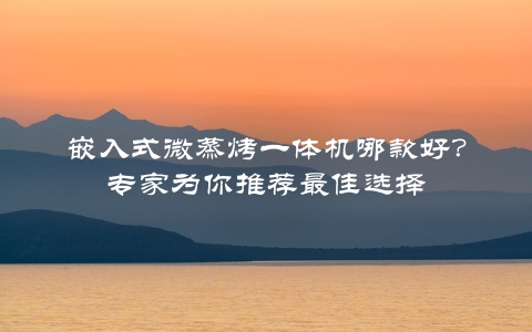 嵌入式微蒸烤一体机哪款好？专家为你推荐最佳选择