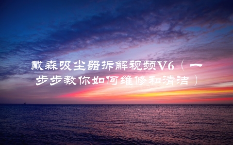 戴森吸尘器拆解视频V6（一步步教你如何维修和清洁）