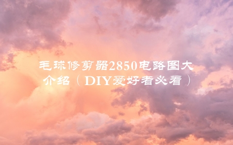 毛球修剪器2850电路图大介绍（DIY爱好者必看）