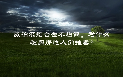 苏泊尔铝合金不粘锅，为什么被厨房达人们推崇？