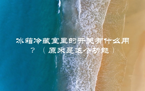 冰箱冷藏室里的开关有什么用？（原来是这个功能）