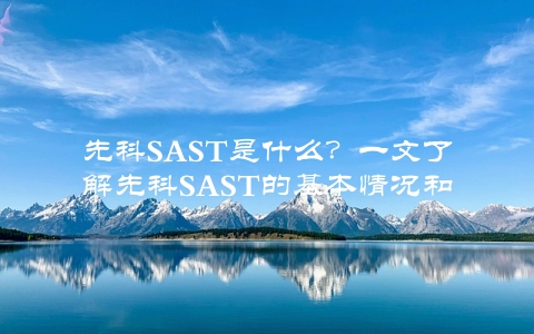 先科SAST是什么？一文了解先科SAST的基本情况和应用场景