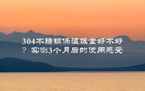 304不锈钢保温饭盒好不好？实测3个月后的使用感受