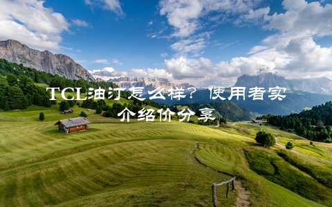 TCL油汀怎么样？使用者实介绍价分享