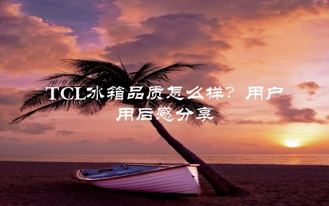 TCL冰箱品质怎么样？用户用后感分享