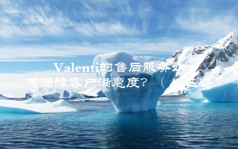 Valenti的售后服务如何保障客户满意度？（从这些方面入手）