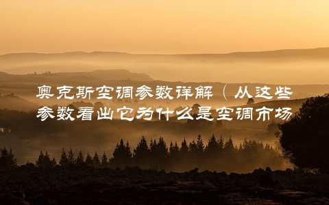 奥克斯空调参数详解（从这些参数看出它为什么是空调市场的领导者）