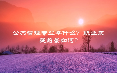 公共管理专业学什么？职业发展前景如何？