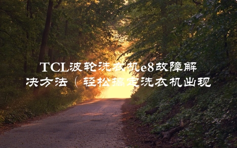 TCL波轮洗衣机e8故障解决方法（轻松搞定洗衣机出现的问题）