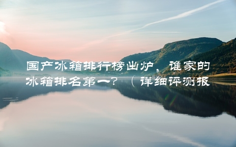 国产冰箱排行榜出炉，谁家的冰箱排名第一？（详细评测报告）