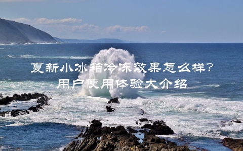 夏新小冰箱冷冻效果怎么样？用户使用体验大介绍