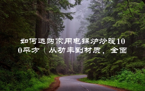 如何选购家用电锅炉炒暖100平方（从功率到材质，全面介绍选购方法）