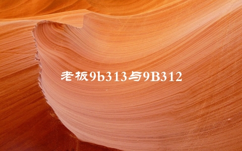 老板9b313与9B312