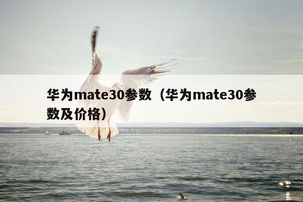 华为mate30参数（华为mate30参数及价格）