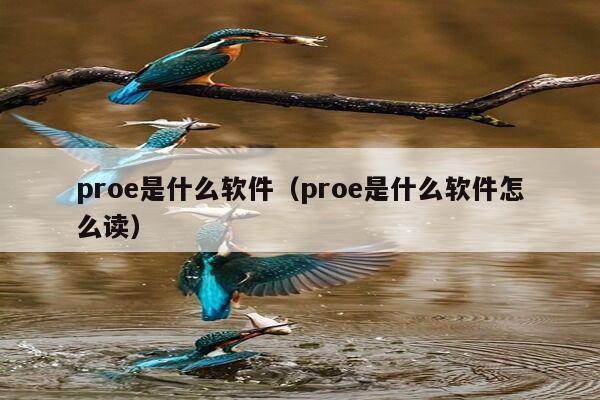 proe是什么软件（proe是什么软件怎么读）