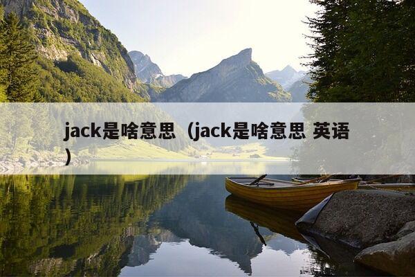 jack是啥意思（jack是啥意思 英语）