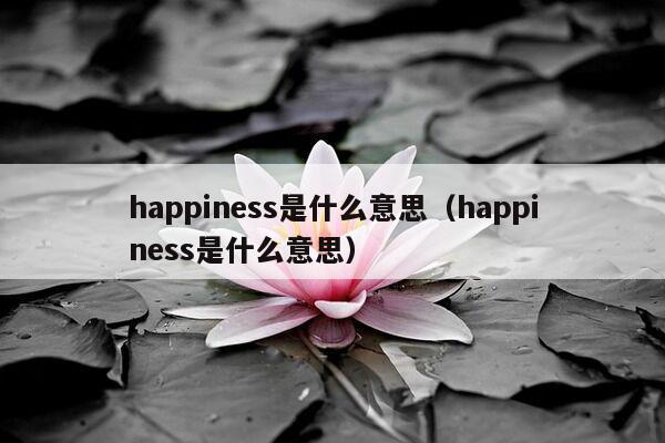 happiness是什么意思（happiness是什么意思）