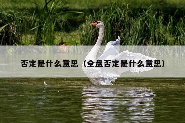 否定是什么意思（全盘否定是什么意思）