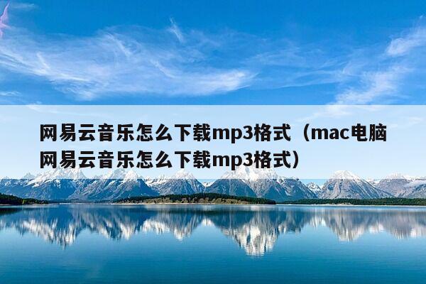 网易云音乐怎么下载mp3格式（mac电脑网易云音乐怎么下载mp3格式）