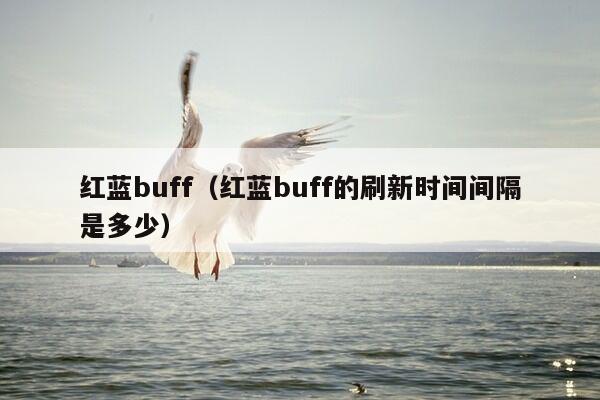 红蓝buff（红蓝buff的刷新时间间隔是多少）