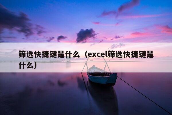 筛选快捷键是什么（excel筛选快捷键是什么）