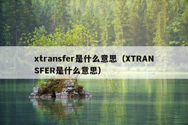 xtransfer是什么意思（XTRANSFER是什么意思）