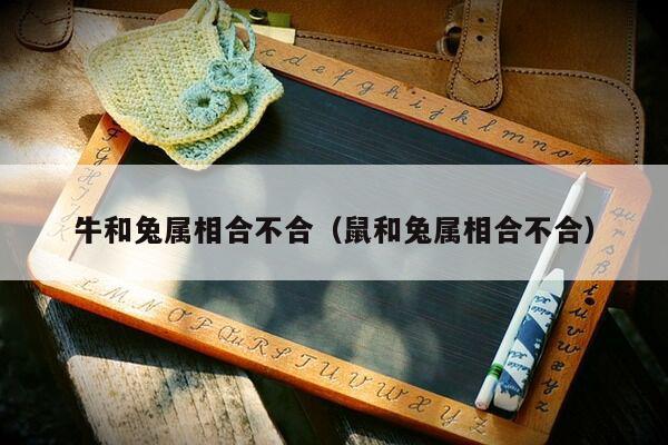 牛和兔属相合不合（鼠和兔属相合不合）