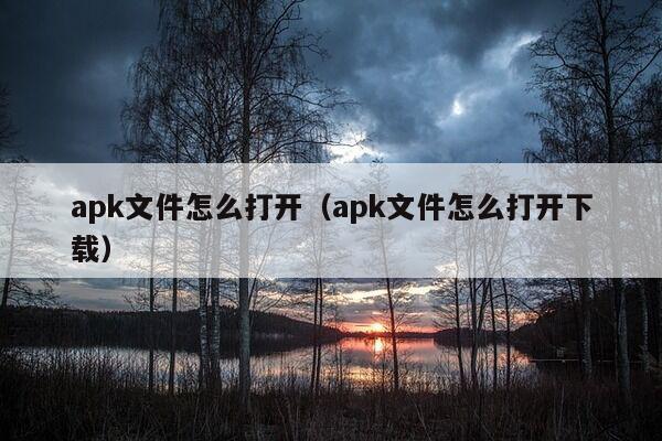 apk文件怎么打开（apk文件怎么打开下载）