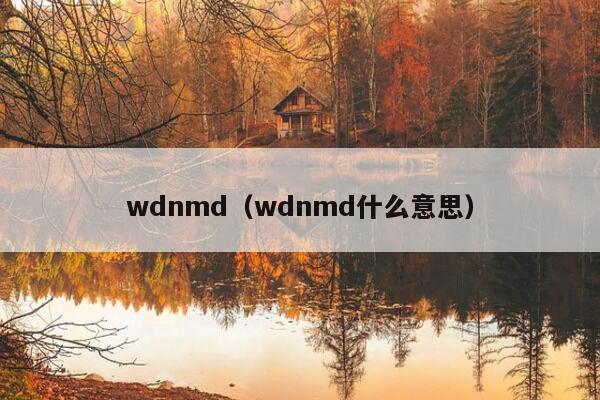 wdnmd（wdnmd什么意思）