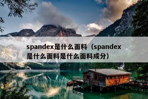 spandex是什么面料（spandex是什么面料是什么面料成分）