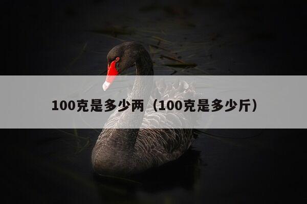 100克是多少两（100克是多少斤）