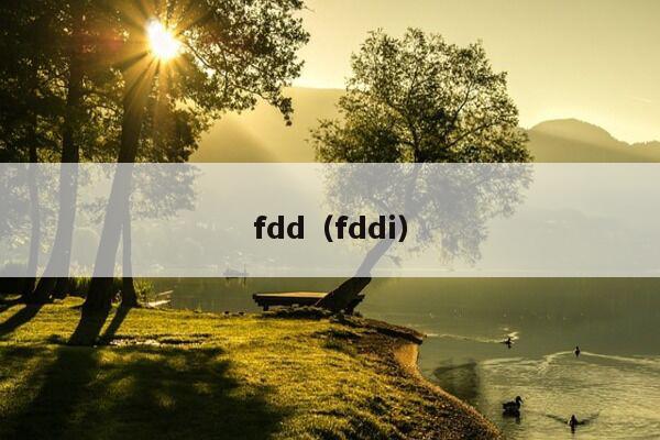 fdd（fddi）