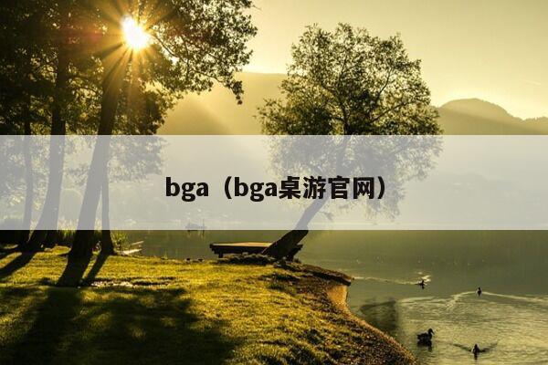 bga（bga桌游官网）