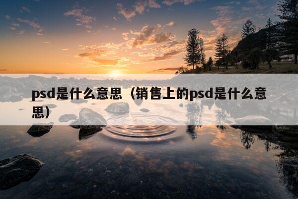 psd是什么意思（销售上的psd是什么意思）