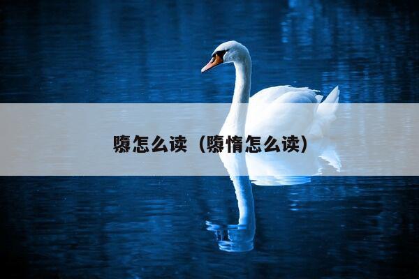 隳怎么读（隳惰怎么读）