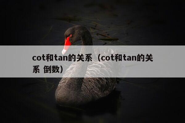 cot和tan的关系（cot和tan的关系 倒数）