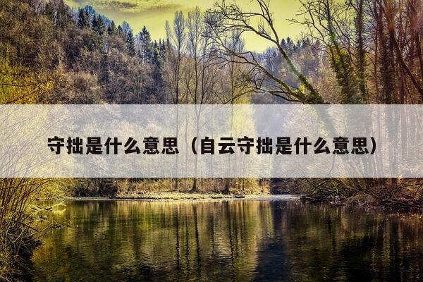 守拙是什么意思（自云守拙是什么意思）