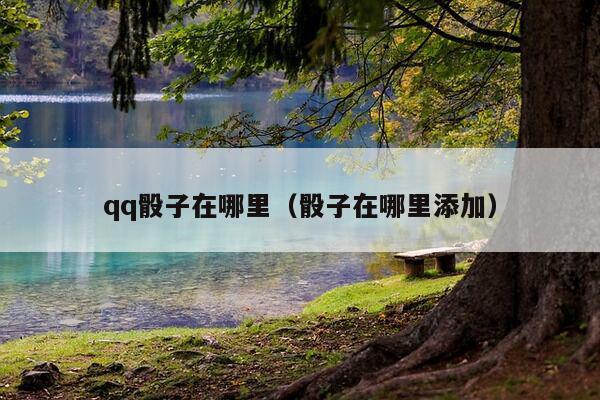 qq骰子在哪里（骰子在哪里添加）