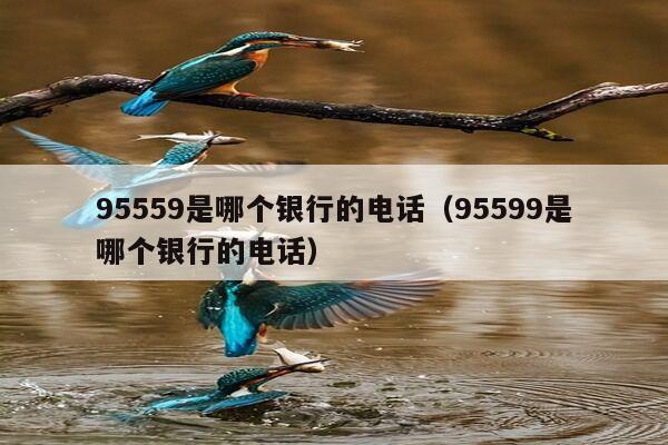 95559是哪个银行的电话（95599是哪个银行的电话）