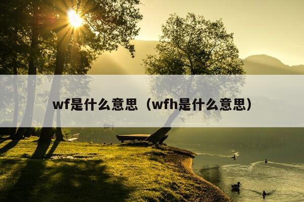 wf是什么意思（wfh是什么意思）