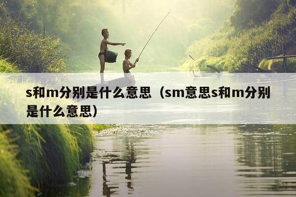 s和m分别是什么意思（sm意思s和m分别是什么意思）